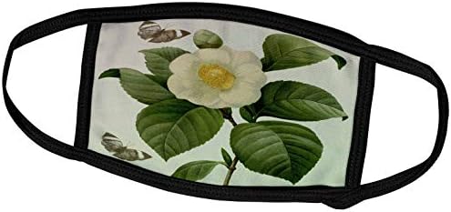 3 רוז נ. ב. פרחים-פרח קמליה וינטג ' - אמנות פרחונית-מסכות פנים