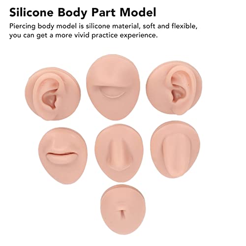 גוף פירסינג עיסוק דגם סימולציה אוזן דגם רך האף לשון דגם סיליקון למתחילים