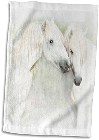 3 דרוז שני סוסים לבנים של קמרג, צרפתית, נוזלינג - מגבות