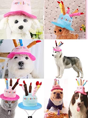 EasySinmile® חמוד מקסים לחתול עוגת יום הולדת כובע כובע כובע חיות מחמד עם 5 נרות צבע עיצוב מסיבת עיצוב