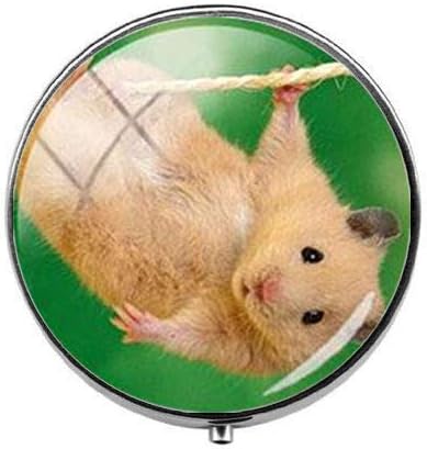 יפה יפה קטן לחיות מחמד עכבר אוגר גלולת תיבת-קסם גלולת תיבת-זכוכית סוכריות תיבת אמנות תמונה תכשיטי יום