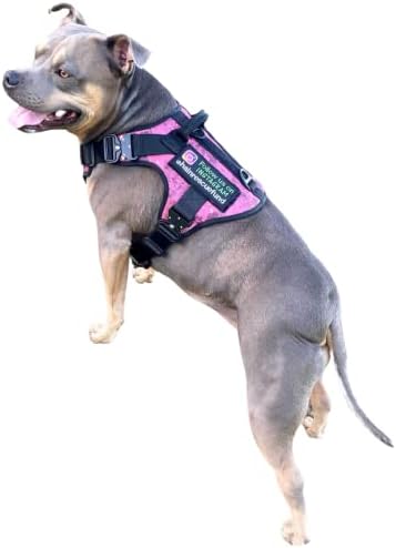 רתמת כלבים טקטי של Hainshop, אפוד כלבים טקטי עם חומר רשת נושם 2 קטעי רצועה, 4 אבזמי מתכת לבטיחות ורצועות