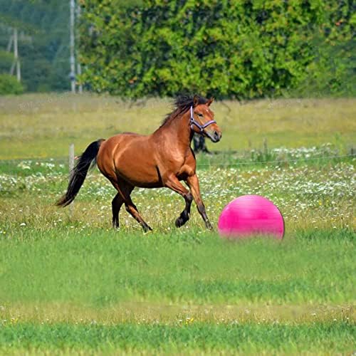צעצוע אימוני כדור סוסים, צעצועי סוס כדור גדול, צעצוע כדור תרגיל סוסים נגד סוסים עם משאבת מתנפח לסוס