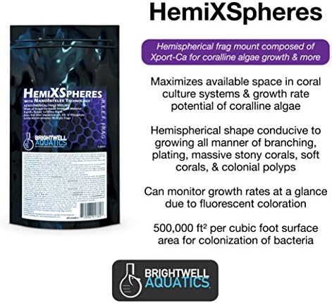 Brightwell Aquatics Hemixspheres - Mount Frag של אלמוגים לאקווריומים של שונית ימית