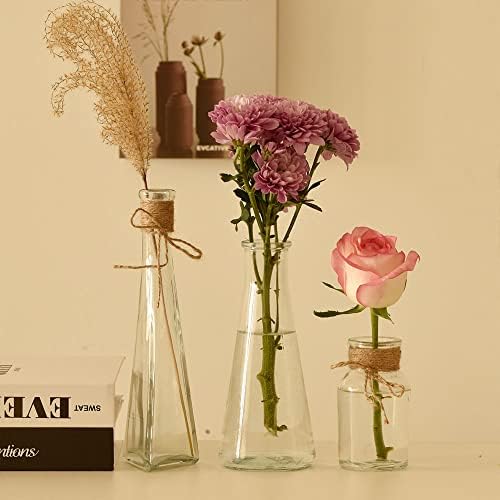 אגרטלי ניצן פייזנר סט של 12, צורות מרובות של סט אגרטל זכוכית קטנה, אגרטלי פרחים לעיצוב וחתונות חתונה